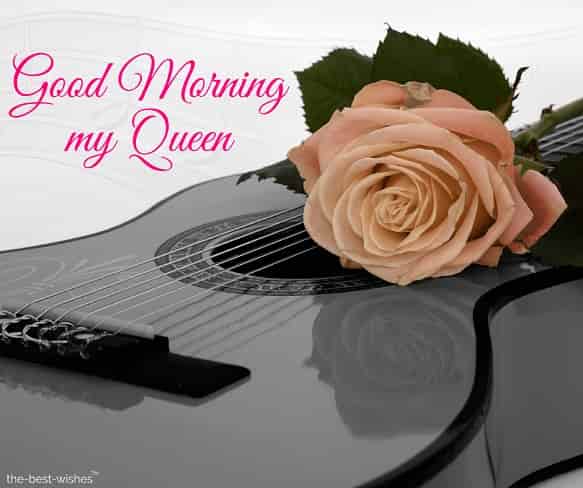 101+ Good Morning My Queen Images [ Best Collection ] in 2023