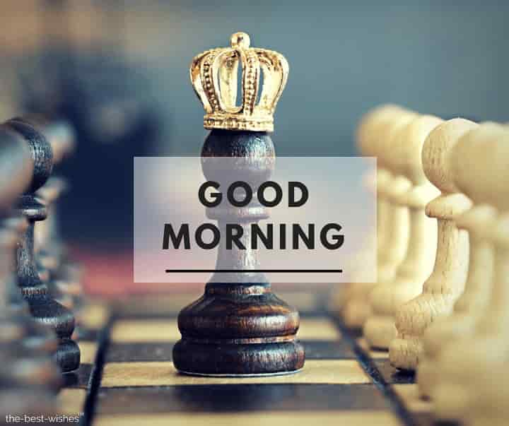101+ Good Morning My Queen Images [ Best Collection ]