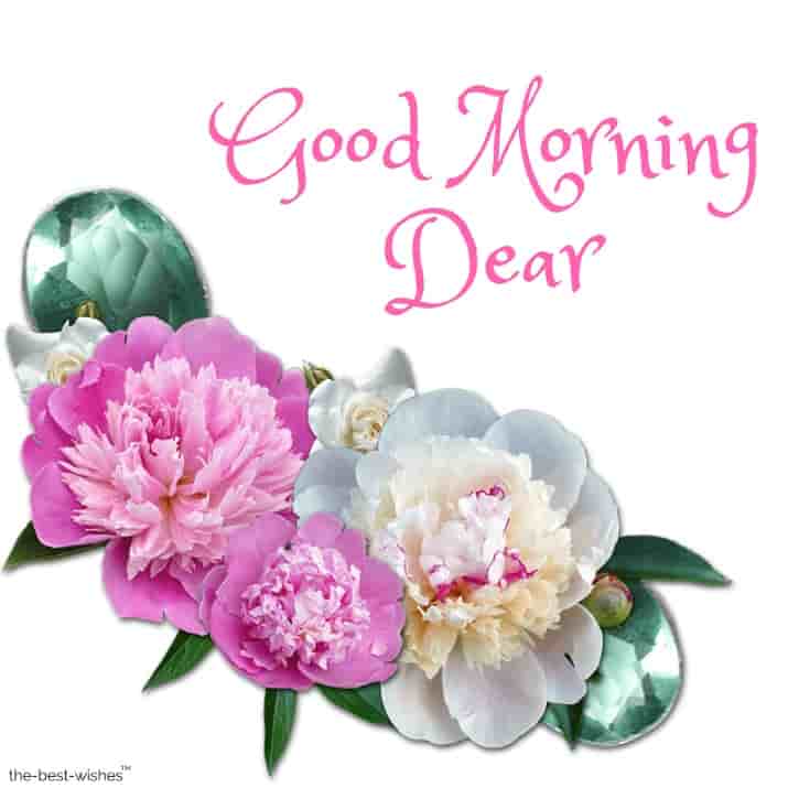 150+ Good Morning Dear Wishes & Greetings [ Best HD Images ]