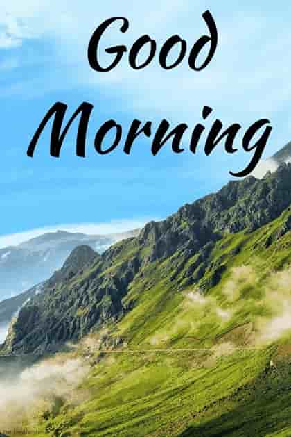 250+ Best Good Morning HD Images, Wishes, Pictures and Greetings