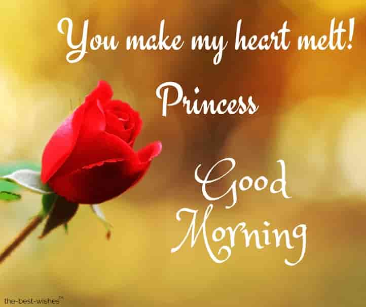101+ Good Morning Princess Images & Messages[ Best Wishes ]