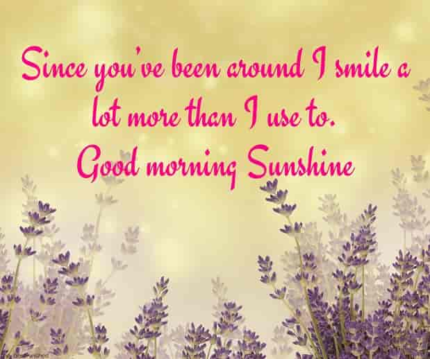 110+ Lovely Good Morning Sunshine Images [ Best Collection ]
