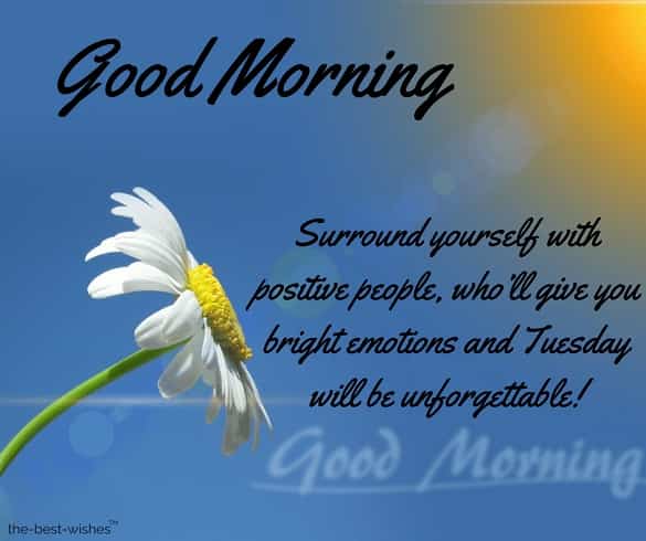 116 Lovely Good Morning Tuesday Images, Wishes and Pictures